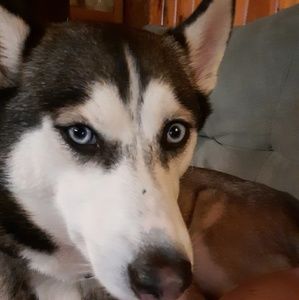 Meet your Posher, Karen